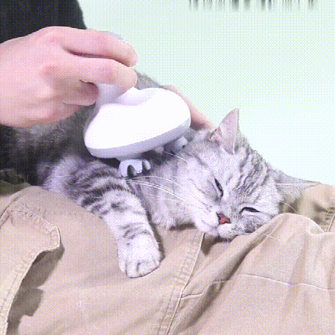 PurrSpa Cica Masszírozó