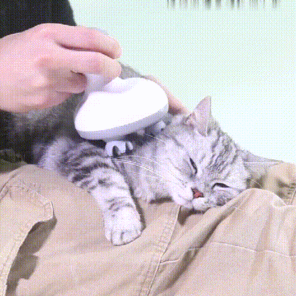 PurrSpa Cica Masszírozó